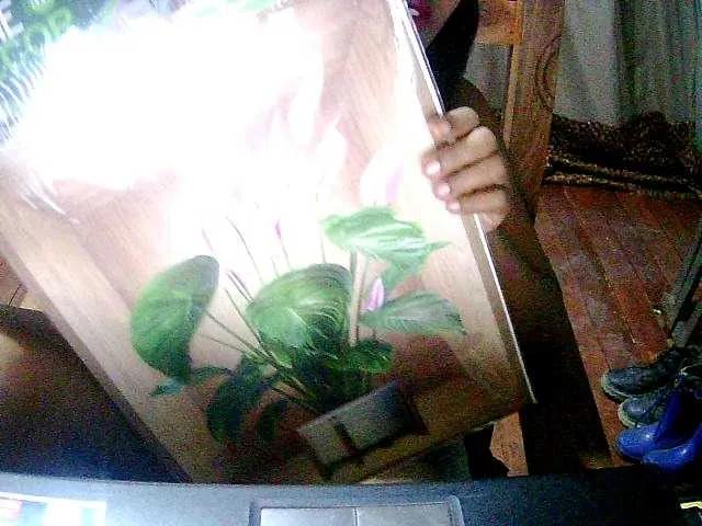 Cathie69 — Freechat on BongaCams