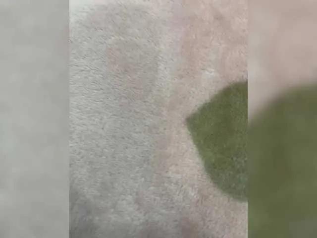 puppy19 on BongaCams 