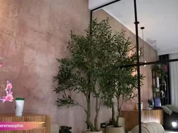 serene_sophiex on Chaturbate 