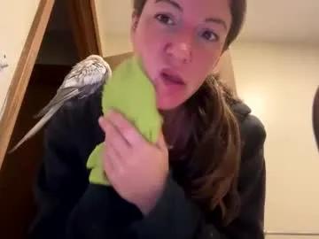 sunnbabe92485 on Chaturbate