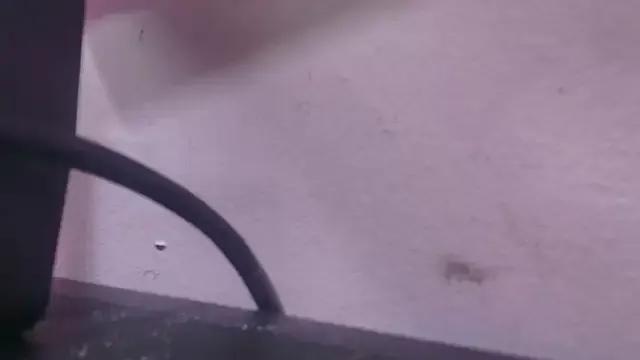 Avatar of abbyrouss_