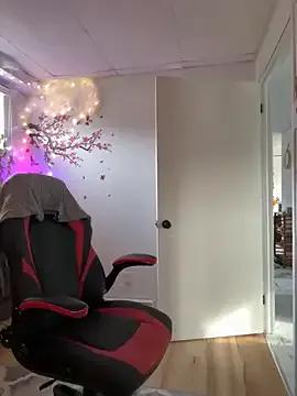 CurvesNChaos — Everything off , except apron+ToyCtrl