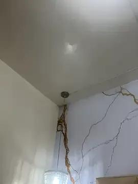 Luna_star3 — RIDER DILDO  