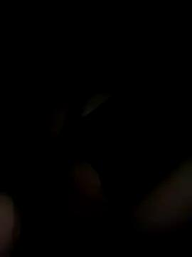 Avatar of Mellywelly