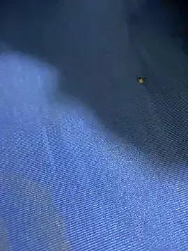 United3 on StripChat